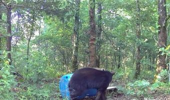 TR 55 56 57 & 23 PINE TREE TRAIL, Albion, OK 74571