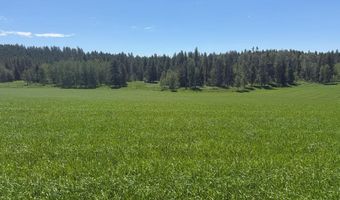 4935 E 900 N, Ashton, ID 83420