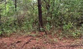 E HWY 16 Highway, Amite, LA 70422