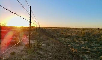 State Highway 214, Adrian, TX 79001