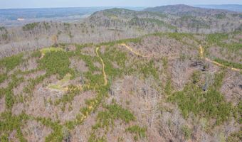 163 Acres Duck Springs Rd, Attalla, AL 35954