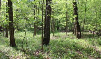 Ruffner Road 00, Barnesville, GA 30204