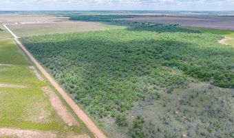 CR 260, Anson, TX 79501