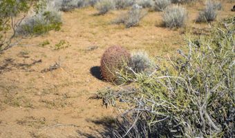 2641 S Javalina Rd, Yucca, AZ 86438