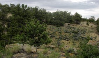 nhn Cottonwood Road, Bridger, MT 59014