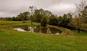 363 County Road 234, Alton, MO 65606