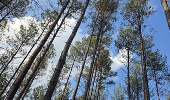 U.S. Highway 51, Bogue Chitto, MS 39629