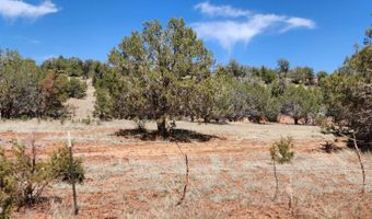 Ranch And Cattle lot 13, Ash Fork, AZ 86320