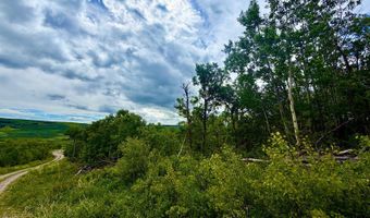 Lot 8 Arlie Tract, Babb, MT 59411