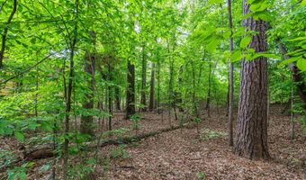 1019 VILLAGE Dr A&B, Arkadelphia, AR 71923
