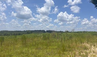 0 CR-215, Ariton, AL 36311