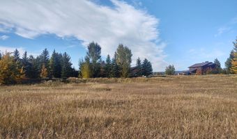 445 TARGHEE TOWNE Rd, Alta, WY 83414
