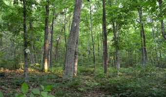Whiskey Creek Lane, Batesville, AR 72501