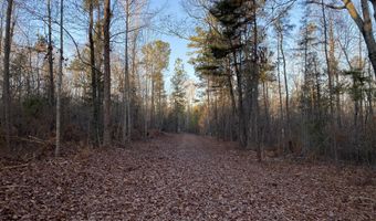 Spann Road, Batesburg Leesville, SC 29006