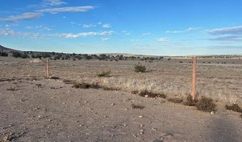 Triple H Ranch Road, Ash Fork, AZ 86320