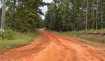 S Henry CR 93/Fisherman's Cutoff, Abbeville, AL 36210