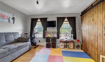 261 COUNTY ROAD 6, Alma, CO 80420