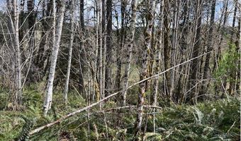 Northrup Creek Rd, Birkenfeld, OR 97016