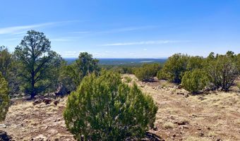 74 County Road 8056, Concho, AZ 85924