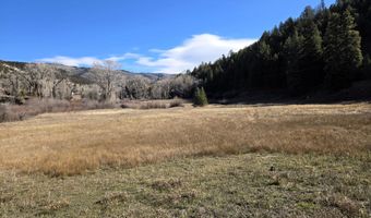 1381 Sheephorn Creek Rd, Bond, CO 80423