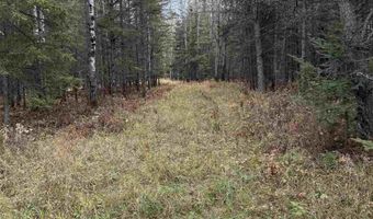 TBD Lane 55 County Road 341, Aurora, MN 55705