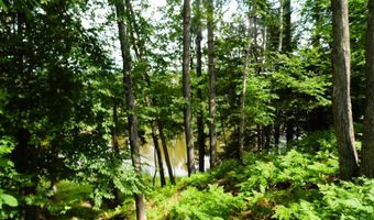 S Forest Lake, Alger, MI 48610