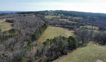 2665 Mt. Carmel Rd, Altoona, AL 35952