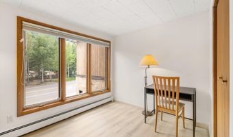 1501 Maroon Creek Rd #2, Aspen, CO 81611