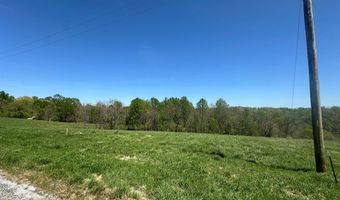 H O Allison lot 10, Baxter, TN 38544