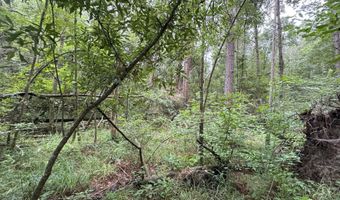 32451 Chapel Pine Drive Lot Cdt2, Albany, LA 70711