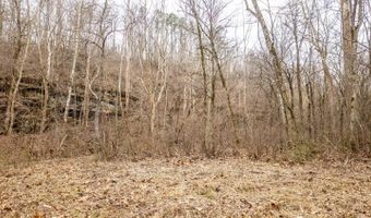 County Road 19-A, Alton, MO 65606