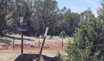 Ranch And Cattle lot 13, Ash Fork, AZ 86320
