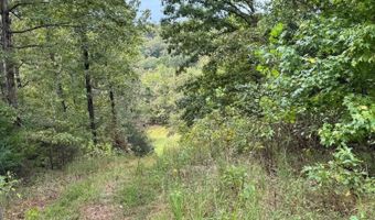 90 Mitchell Rd, Batesville, AR 72501