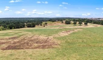 600 Wilson Bend Rd, Millsap, TX 76066