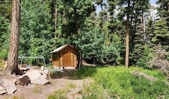1407 Clarke Mountain Ln, Antonito, CO 81120