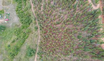 427 Wise Rd, Bailey, CO 80421