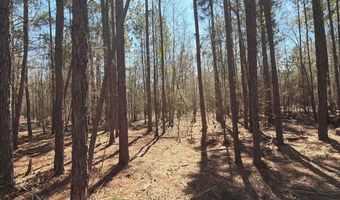 Bhl 10 Boise Cascade Bhl 10, Bethune, SC 29009