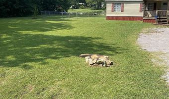 2156 SHORE Dr, Ashville, AL 35953