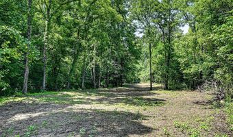 2926 Bryant Ridge Rd, Baxter, TN 38544