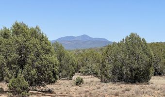 39303 N Bullock Rd, Ash Fork, AZ 86320