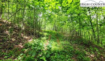 Tbd Teaster Valley Lane, Banner Elk, NC 28604