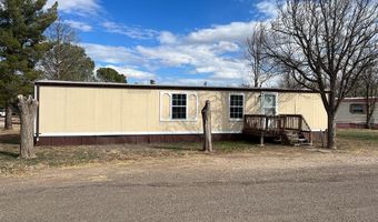 1407 N 8th St, Alpine, TX 79830