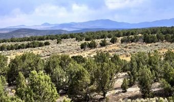 816 Hamilton Stage Rd, Elko, NV 89801