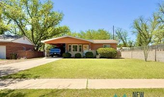 1113 N Eddy St, Carlsbad, NM 88220