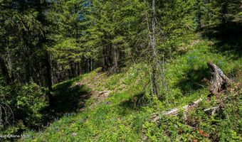 Kreiger Creek Rd, Careywood, ID 83809