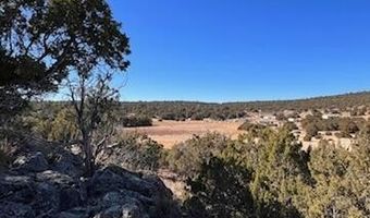 N8689 lot 002P, Concho, AZ 85924