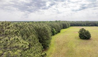 5750 Cobbham Road Lot Tract D, Appling, GA 30802