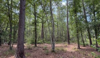 Fox Paw Court, Branchville, SC 29432