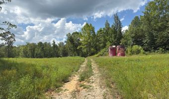700 Acres Puncheon Creek Ln, Allred, TN 38542