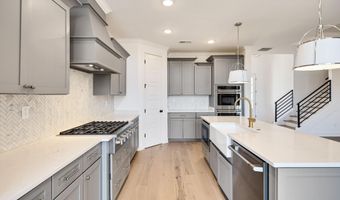 12064 STROMNESS Cv, Arlington, TN 38002